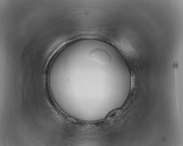 X0000090910243200707301039