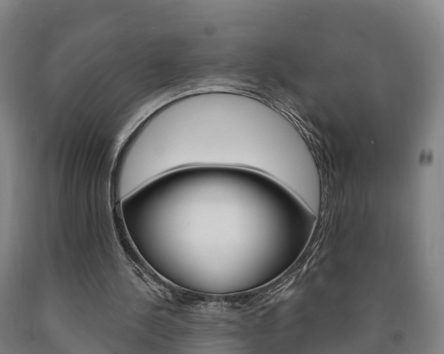 X0000090910244200707301039