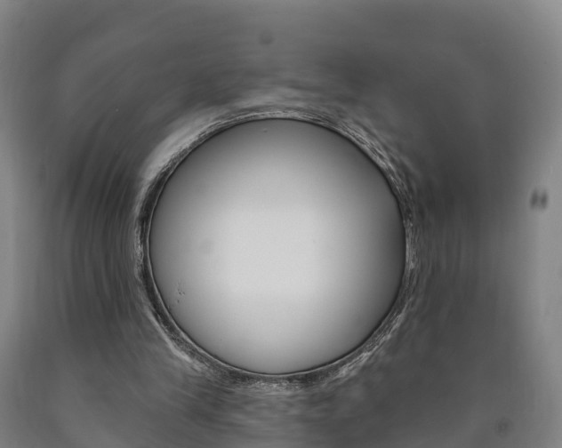 X0000090910245200707301039