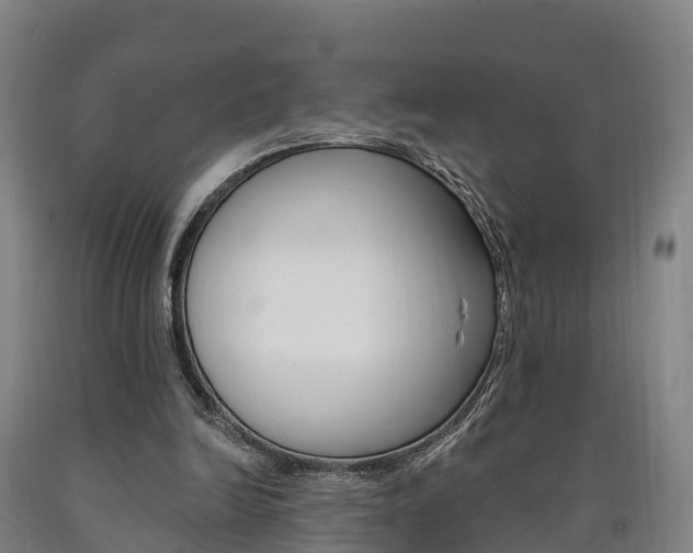 X0000090910246200707301039
