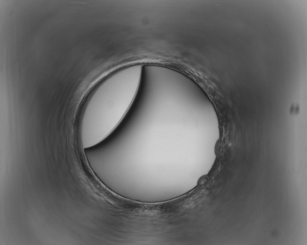 X0000090910247200707301039