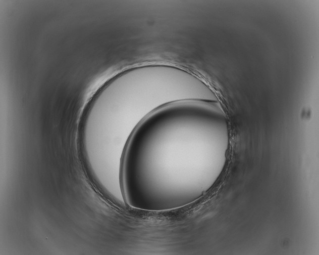 X0000090910248200707301039