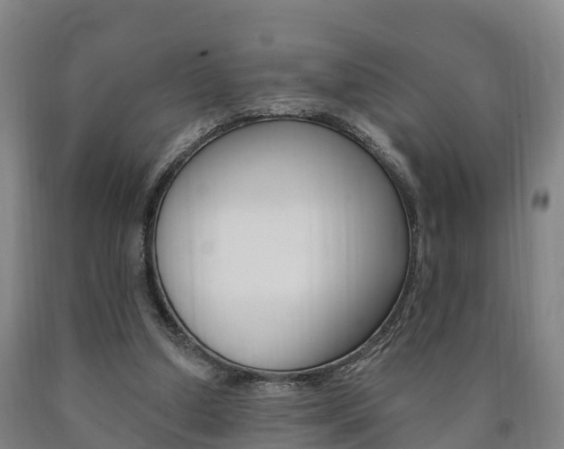 X0000090910250200707301039