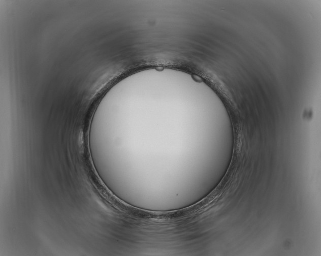 X0000090910251200707301039