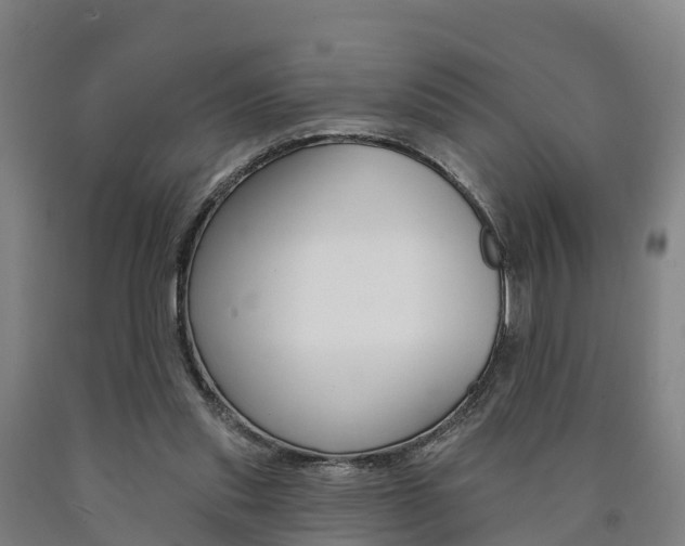 X0000090910253200707301039