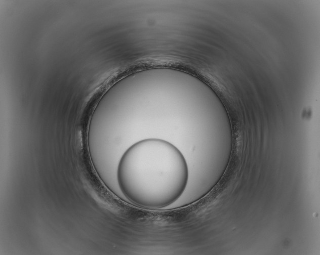 X0000090910254200707301039