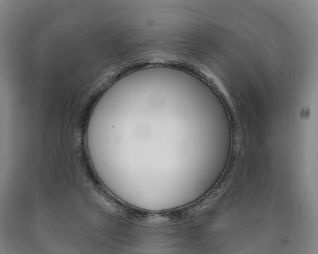 X0000090910257200707301039