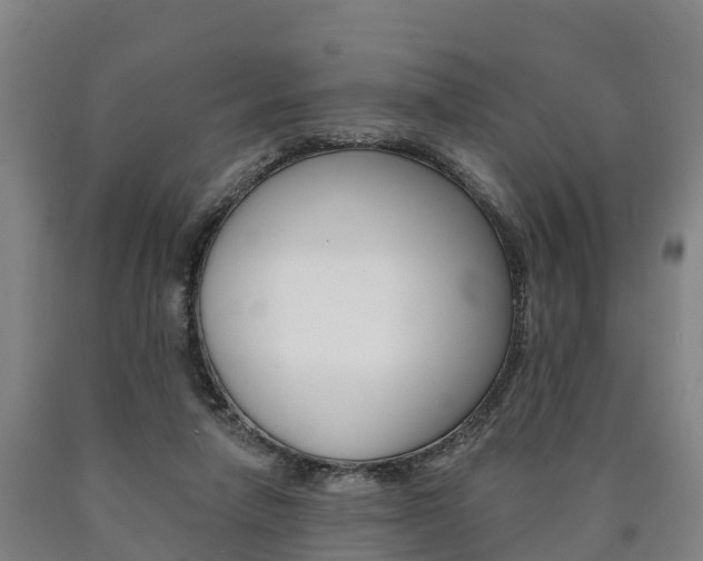 X0000090910258200707301039