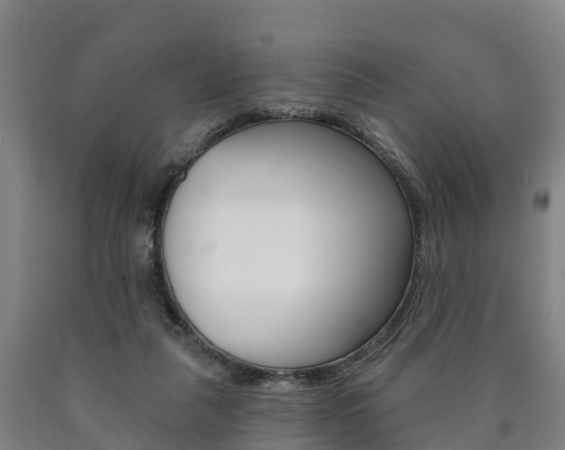 X0000090910259200707301039