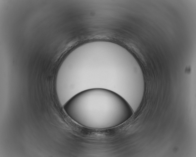 X0000090910260200707301039