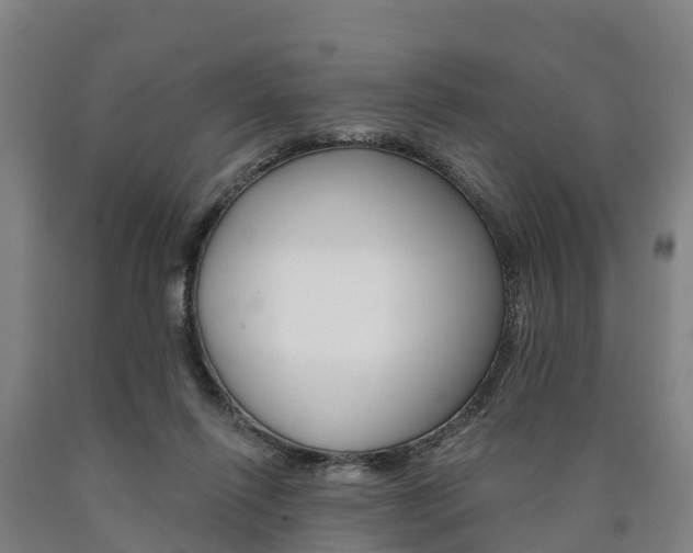 X0000090910262200707301039