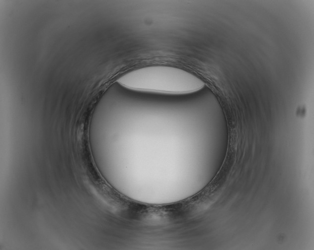X0000090910263200707301039