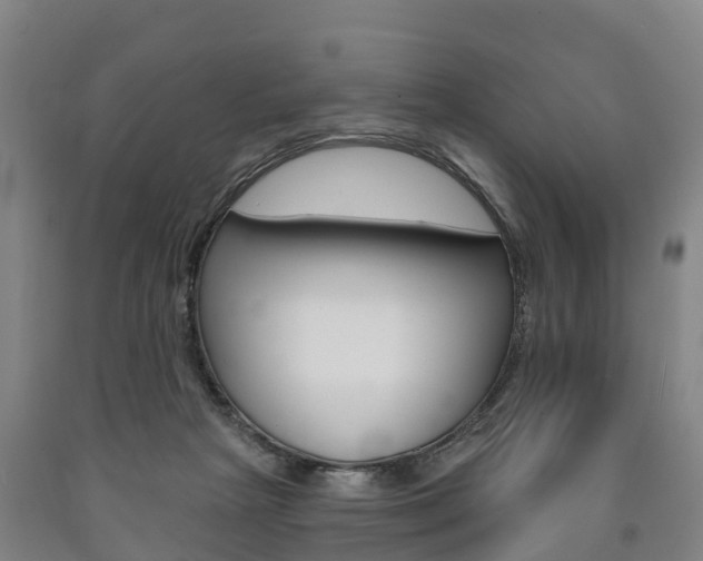 X0000090910265200707301039