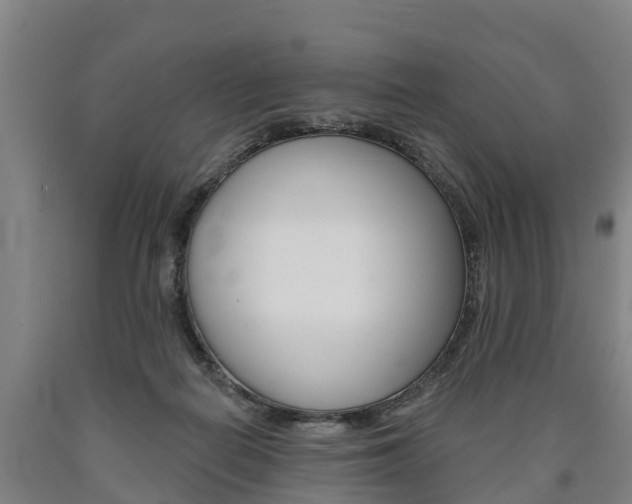 X0000090910266200707301039