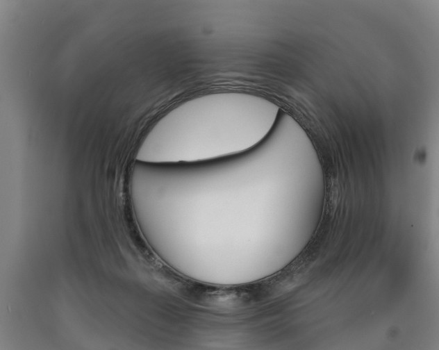 X0000090910267200707301039