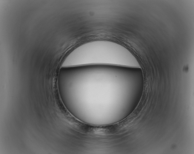 X0000090910268200707301039