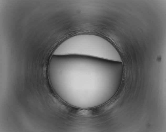 X0000090910269200707301039
