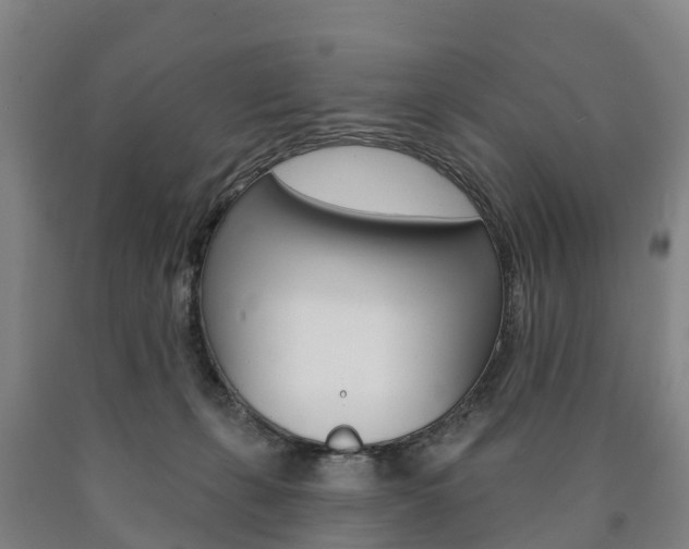 X0000090910271200707301039