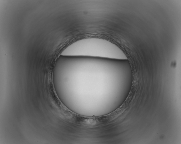 X0000090910272200707301039