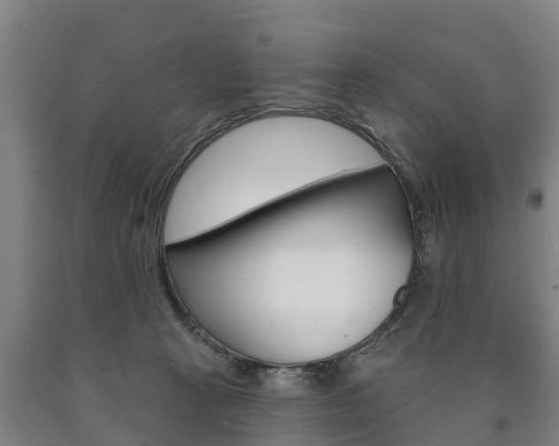 X0000090910273200707301039