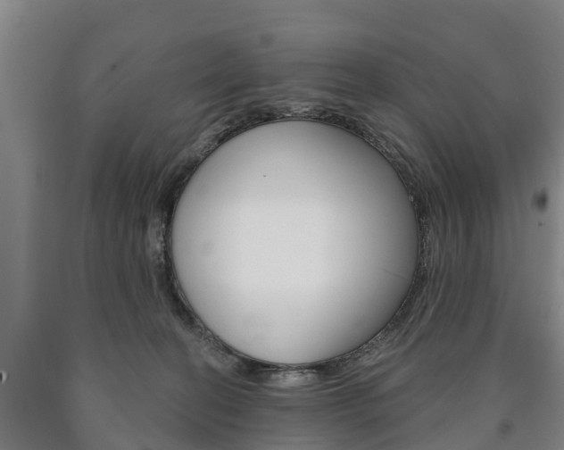 X0000090910274200707301039