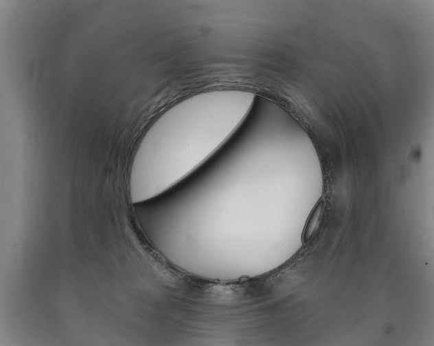 X0000090910277200707301039