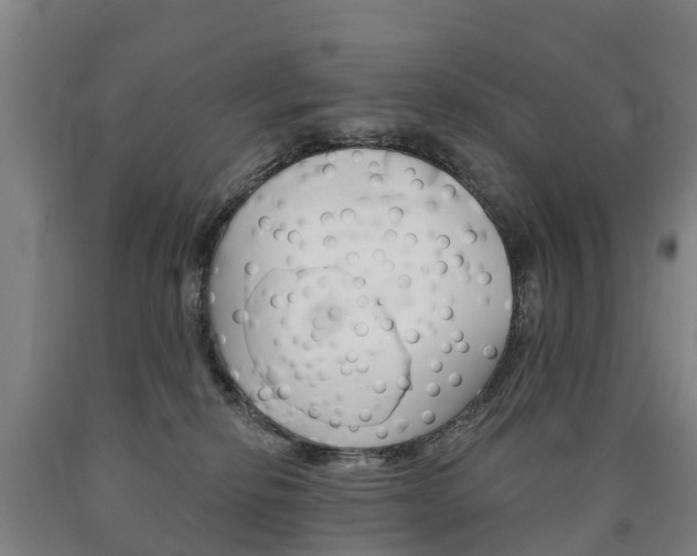 X0000090910278200707301039