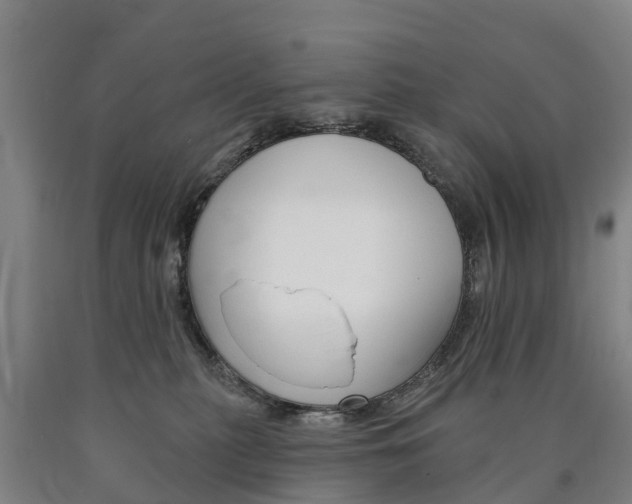 X0000090910279200707301039
