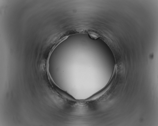 X0000090910280200707301039