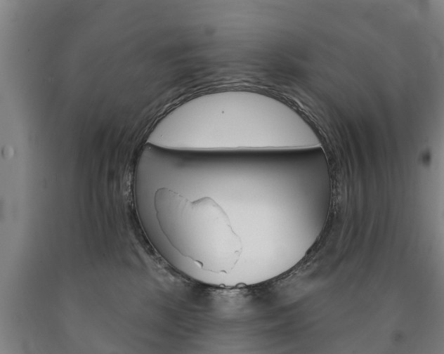 X0000090910281200707301039