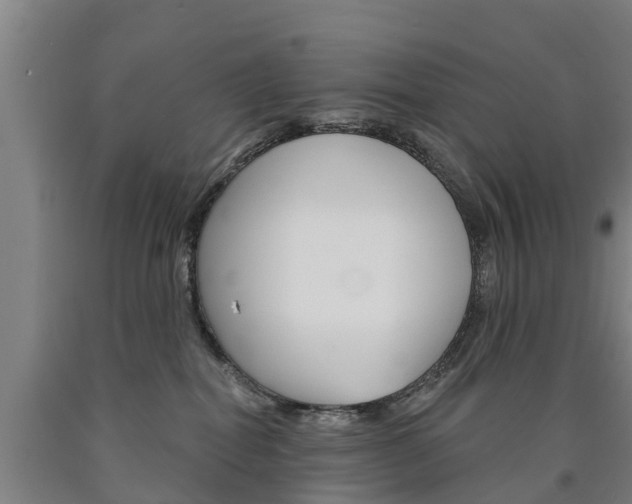 X0000090910282200707301039