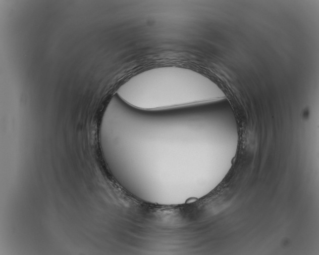X0000090910283200707301039