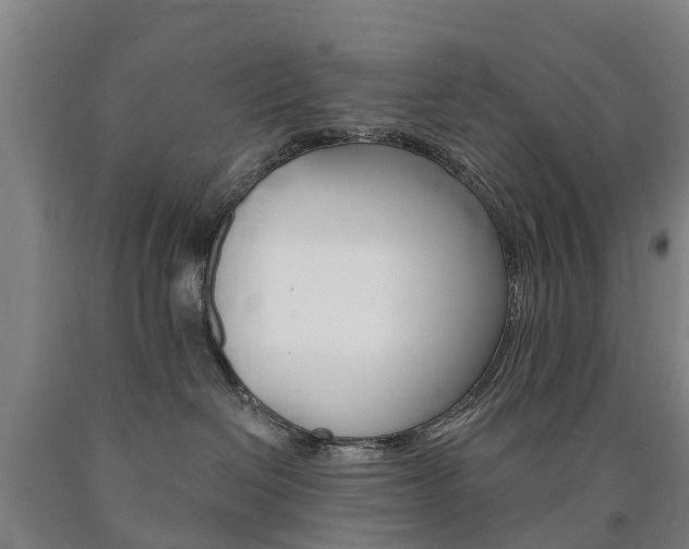 X0000090910286200707301039