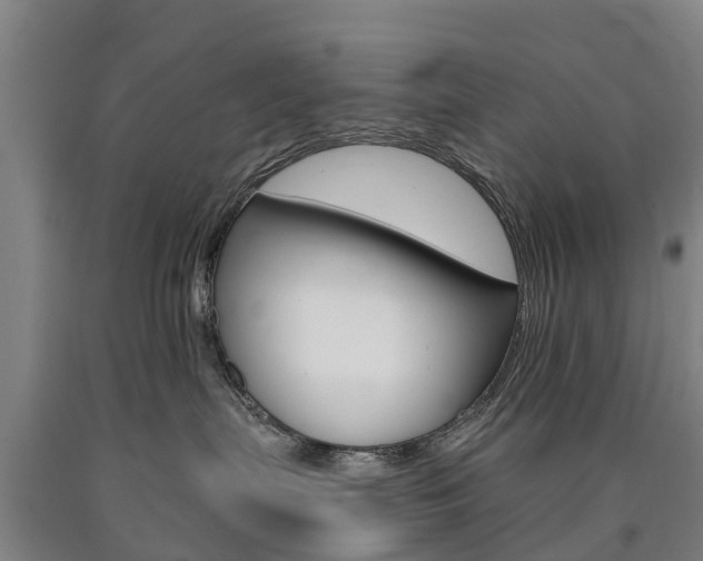 X0000090910287200707301039