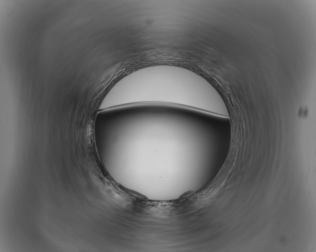 X0000090910288200707301039