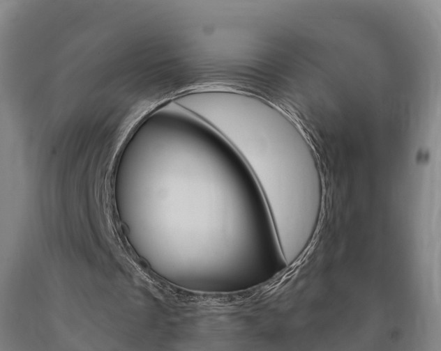 X0000090910289200707301039