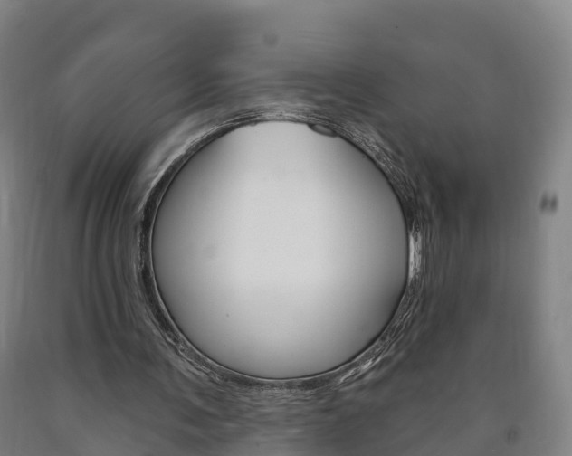 X0000090910291200707301039