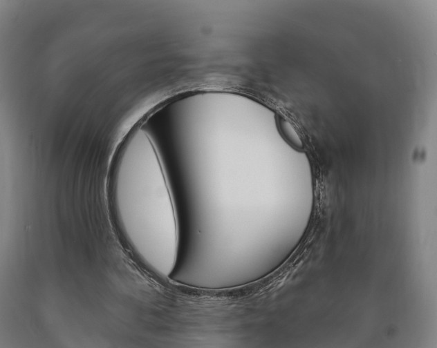X0000090910292200707301039