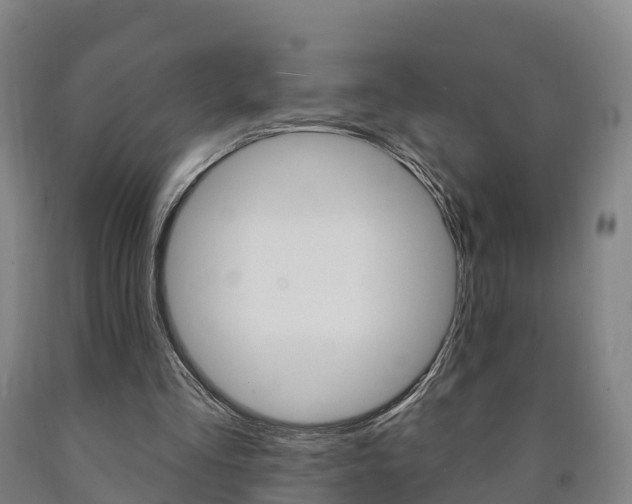 X0000090910293200707301039