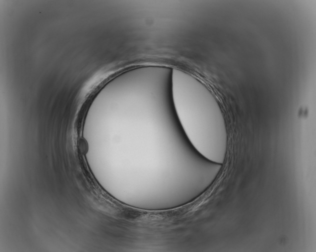 X0000090910294200707301039