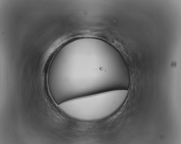 X0000090910295200707301039