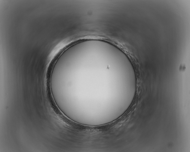 X0000090910296200707301039