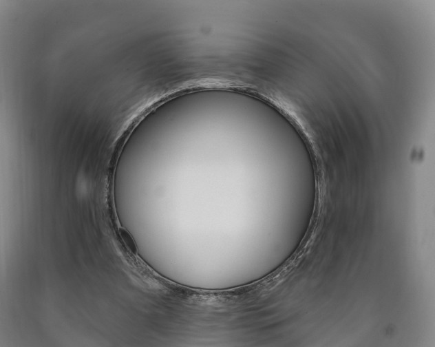 X0000090910297200707301039