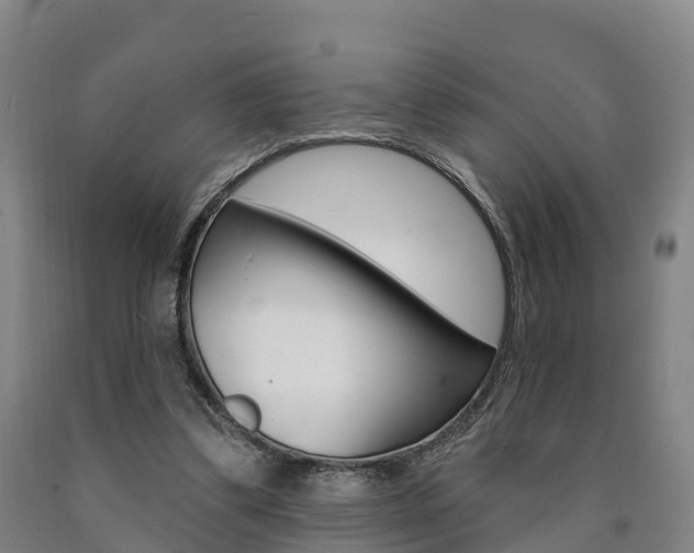 X0000090910299200707301039