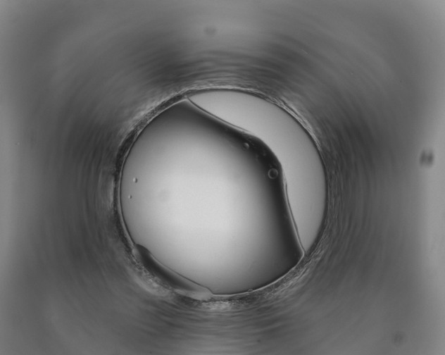 X0000090910301200707301039