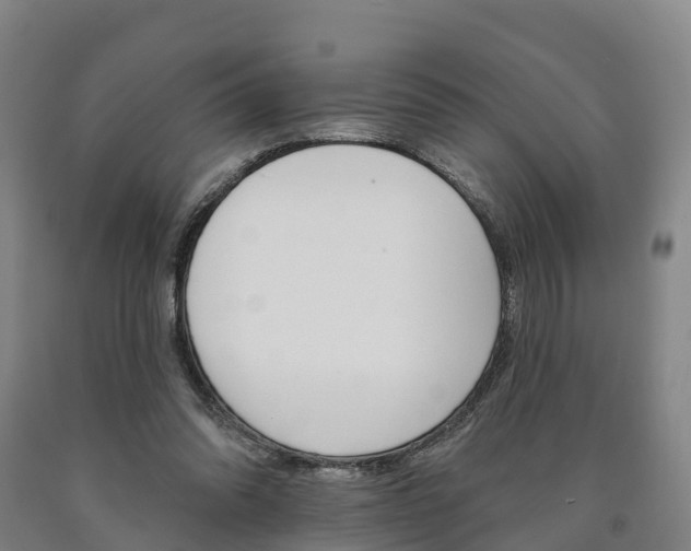 X0000090910302200707301039