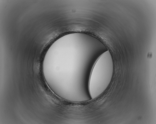 X0000090910304200707301039