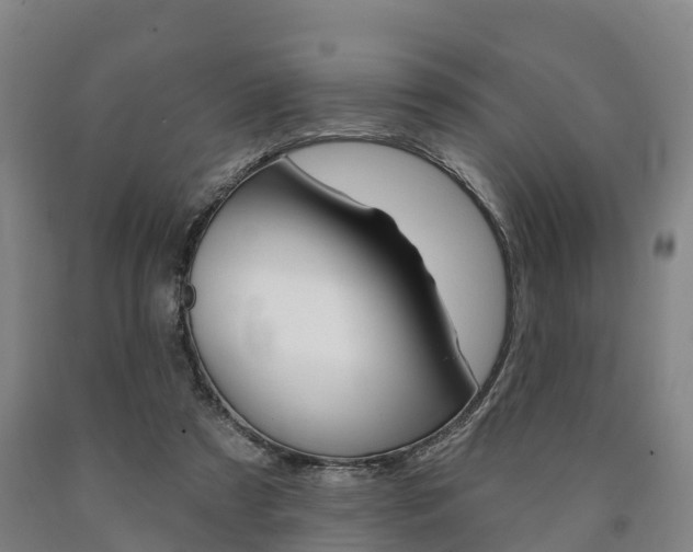 X0000090910305200707301039