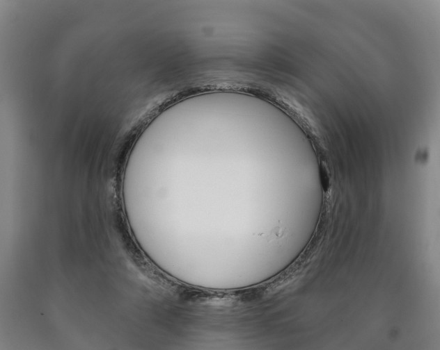 X0000090910306200707301038