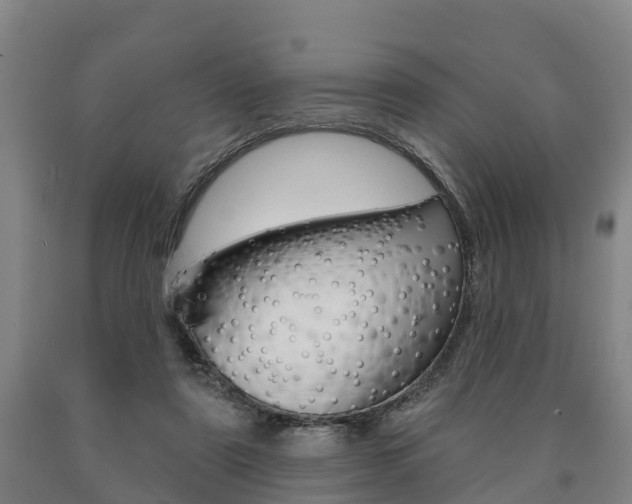 X0000090910307200707301038
